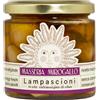 Masseria Mirogallo Lampascioni in Olio Extra Vergine di Oliva Masseria Mirogallo 480 gr 0.480 Kg