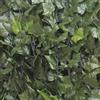 Verdelook Siepe Artificiale Sempreverde Point Edera 100x300cm