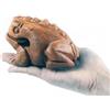 IAMSIAMZ Frog Guiro blocco di legno strumento musicale a percussione Strumento musicale Dimensioni perfette Legno naturale Güiro Frog. (4,75 pollici -12 cm)