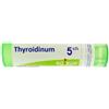 BOIRON Thyroidea 5ch gr - BOIRON - 800111953