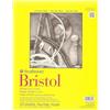 Strathmore Pro-Art Paper Strathmore Bristol - Blocco di carta pergamena, 28 x 35 cm, 20 fogli, bianco