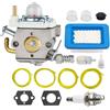 Hippotech Carburatore PB580T per soffiatore Echo PB-580 PB-580T PB 580T PB-580H Ventilatore a zaino Echo PB-580 Filtro aria, Carb Sostituire parti # WTA-35 A021004331