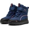 PUMA Evolve Boot PURETEX AC+PS, Sneaker, Persian Blue-PINKSCAPE, 31.5 EU