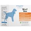 DYNAMOPET Srl DIGEA F MEDIUM 20BUST 4G