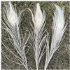 GreatRise Piume di pavone, 25-30 cm, piume di pavone, piume di coda di pavone, belle piume di coda, decorazione per la casa, per fai da te, per il fai da te, per costume da sposa, colore bianco, 25-30