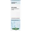 Erba Vita Group Epilobio Pianta Soluzione Idroalcolica 50 Ml