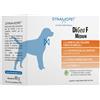 dynamopet Digea F Medium 20 Bustine Da 4 G
