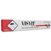 DDFarma Visvit Pasta Soluzione Orale Siringa 15 G