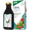 SALUS HAUS Gmbh & Co KG Salus Calcium Mineral Drink Integratore Alimentare 250ml