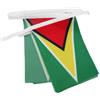 AZ FLAG Ghirlanda 6 Metri 20 Bandiere Guyana 21x15cm, Bandiera Guyana 15 x 21 cm - Festone Bandierine