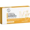 FORMULA FARMACIA FORMULA 4 SALI MAGNESIO 48CPR