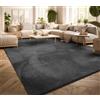 TT Home Tappeto Salotto Pelo Corto Monocolore Design Moderno Lavabile, Colore:Antracite, Dimensione:300x400 cm