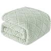 Whale Flotilla Coperta morbida, morbida, calda e soffice, per ogni stagione, 130 x 150 cm, verde chiaro