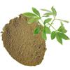 Naturegrail Polvere di Jiaogulan, composta al 100% da Gynostemma Pentaphyllum - Vite di tè dolce pura, Jiaokulan naturale - Peso netto: 50g