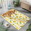 Mateju Tappetino Rinfrescante per Cani e Gatti, Tappetino Rinfrescante Animali Domestici in Tessuto Fresco, Tappeto Autorinfrescante Cani Estivo Lavabile - Stampe di Frutta (Ananas,45x60cm)