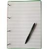 tipome.com RICAMBIO A4 21X30CM CON 4 FORI PER RACCOGLITORE GRANDE A 2/4 ANELLI (100 fogli A4 pentagramma)