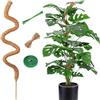 CTCEHL Bastone di Muschio,1pcs120 cm Pieghevoli Fibra di Cocco per Piante,Bastoncino di muschio Monstera,Bastoncino per piante rampicanti indoor,per piante rampicanti che crescono verso l'alto