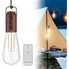 Molbory Lampada a sospensione, lampada a sospensione ricaricabile, lampada a sospensione con telecomando a batteria, IP44, impermeabile, vintage, senza collegamento di alimentazione, luci a LED,