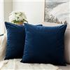 MIULEE Copricuscini Divano Camera da Letto Cuscini Arredo Fodere Arredamento Casa Federe Moderni Elegante Morbido Resistente in Velluto con la Cerniera Invisibile 2 Pezzi 60X60 CM Blu Navy