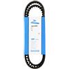 DAYCO 10A1125C Cinghia Trap.DENTATA Com.Pompa BITURBO