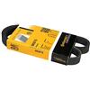 Contitech 5 PK 875 Cinghie Trapezoidale