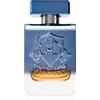 Victory Mercury 100 ml