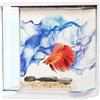 HAGEN Set acquario Marina Betta BLUE 3L