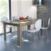 VivaGarden Tavolo da Giardino Jean in Truciolare bilaminato cm 160/200x90x75 h Colore Rovere - MK801420