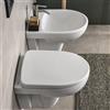 COPPIA SANITARI VASO BIDET E COPRIVASO TRADZIONALE GEBERIT SELNOVA PRO SOSPESI
