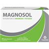 Magnosol 20 bustine effervescenti - MAGNOSOL - 909451546