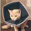 Candioli Comfy Cone Collare elisabettiano per cani e gatti M 1 pezzo