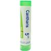 BOIRON Srl Cantharis 5CH Boiron 80 Granuli
