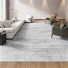 VEVOR Tappeto Grande per Salotto 3048 x 4267 mm Lavabile, Tappeto da Interno per Soggiorno, Antiscivolo e Antistrappo, per Animali Domestici e Bambini, per Camera da Letto, Cameretta, Ufficio, Grigio