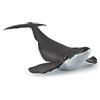 Papo - Statuetta Cucciolo di Balena Realistica - 3 Anni + - Collezione Universo Marino - Gioco Educativo Mammiferi Marini - Idea Regalo Giocattolo Bambina Bambino - 14 Cm X 9 Cm X 4 Cm