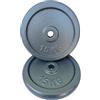MADICKS Disco Ghisa Foro 25 mm 0,5kg 1,25kg 2,5kg 5kg 10kg 15kg 20kg | Pesi palestra per bilanciere e manubri standard | Robusti e resistenti | Ideali per allenamento forza e bodybuilding (15 KG, 2X)