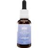 BUSH BIOTHERAPIES Pty Ltd CAREGIVER 30ML