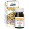 GIORGINI Dr Giorgini Finocchio Integratore per la Digestione 60 Pastiglie