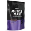 BioTechUSA Muscle Mass | Proteine e Carboidrati in Polvere | con Peptidi di Creatina e Glutammina | Guadagno | Senza Lattosio | Creatina Micronizzata | 1000 g | Cioccolato