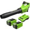 Greenworks GD40ABK2X Soffiatore Foglie Assiale a Batteria con Motore Brushless, 210km/h, 15,6m³/min, Due Batterie da 40V 2Ah e Caricabatterie, Garanzia 3 Anni
