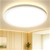 EASY EAGLE Plafoniera LED Soffitto, 3000K Lampadario LED Bagno, Moderna Lampada Soffitto Luce per Camera da Letto Cucina Soggiorno 18W 22CM