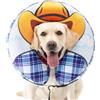 Avont Collare Elisabettiano Cane Morbido, Ciambella Cane Post Intervento, Collare Gonfiabile Cane, Prevenire il Leccamento Delle Ferite Dopo un Intervento Chirurgico -Cowboy XL
