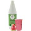 ALMAR GUSTO ITALIANO Almar - Sciroppo Superconcentrato per Granita, Gusto Anguria, Da Usare Con Base Granita Naxos, Pronto in Pochi Secondi, Ideale per Bar, Chioschi e Uso Domestico, Senza Conservanti, Bottiglia da 1kg