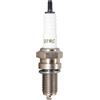 TORCH D7RC Candela Auto Sostituire per DR7EA, per RA8HC, per IX22 X22ESR-U, per Yamaha RAPTOR XT250,BIG BEAR 250, per Suzuki Ozark 250,per Arctic Cat 300 4X4 250 2x4,OEM