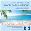 The Rhythm Tree Placide onde caraibiche - Suoni della natura per il rilassamento, la meditazione e il sonno - Il perfetto rumore bianco della natura