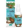 I SORBETTI COCOMINT ACQUA IDRA