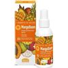 I SORBETTI MANGOBOOM ACQUA IDR