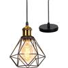 TOKIUS Lampada a Sospensione Industriale Vintage Plafoniera E27 Metallo Lampadario Soffitto Nero Gabbia ferro Ø160mm per Corridoio Portico Camera da Letto