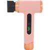 Yunir Asciugacapelli a batteria, 15000mAh 200W Mini Ionic Blow Dryer, basso rumore e 2 modalità con display temperatura, per la casa, dormitorio, viaggi, tastiera pulizia elettronica (Pinkish)