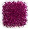Neo Cuscino Porcupine NEO