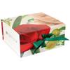 Dr. Organics Cofanetto regalo